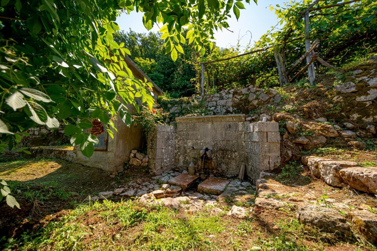 Bed and Breakfast Ethno House Osobak Virpazar Exterior foto