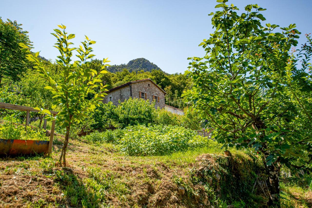 Bed and Breakfast Ethno House Osobak Virpazar Exterior foto