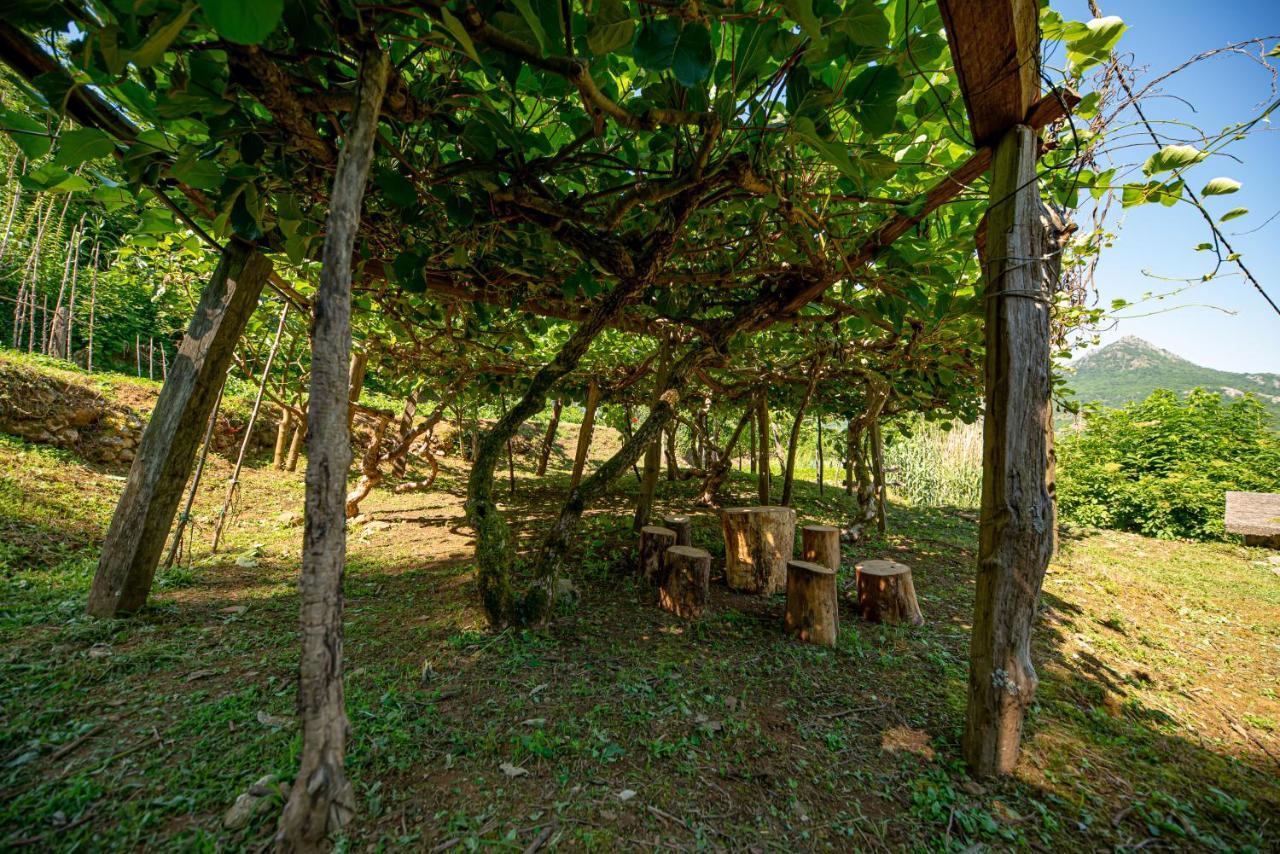 Bed and Breakfast Ethno House Osobak Virpazar Exterior foto