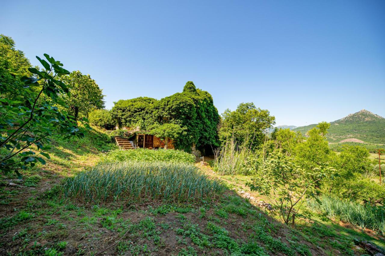 Bed and Breakfast Ethno House Osobak Virpazar Exterior foto