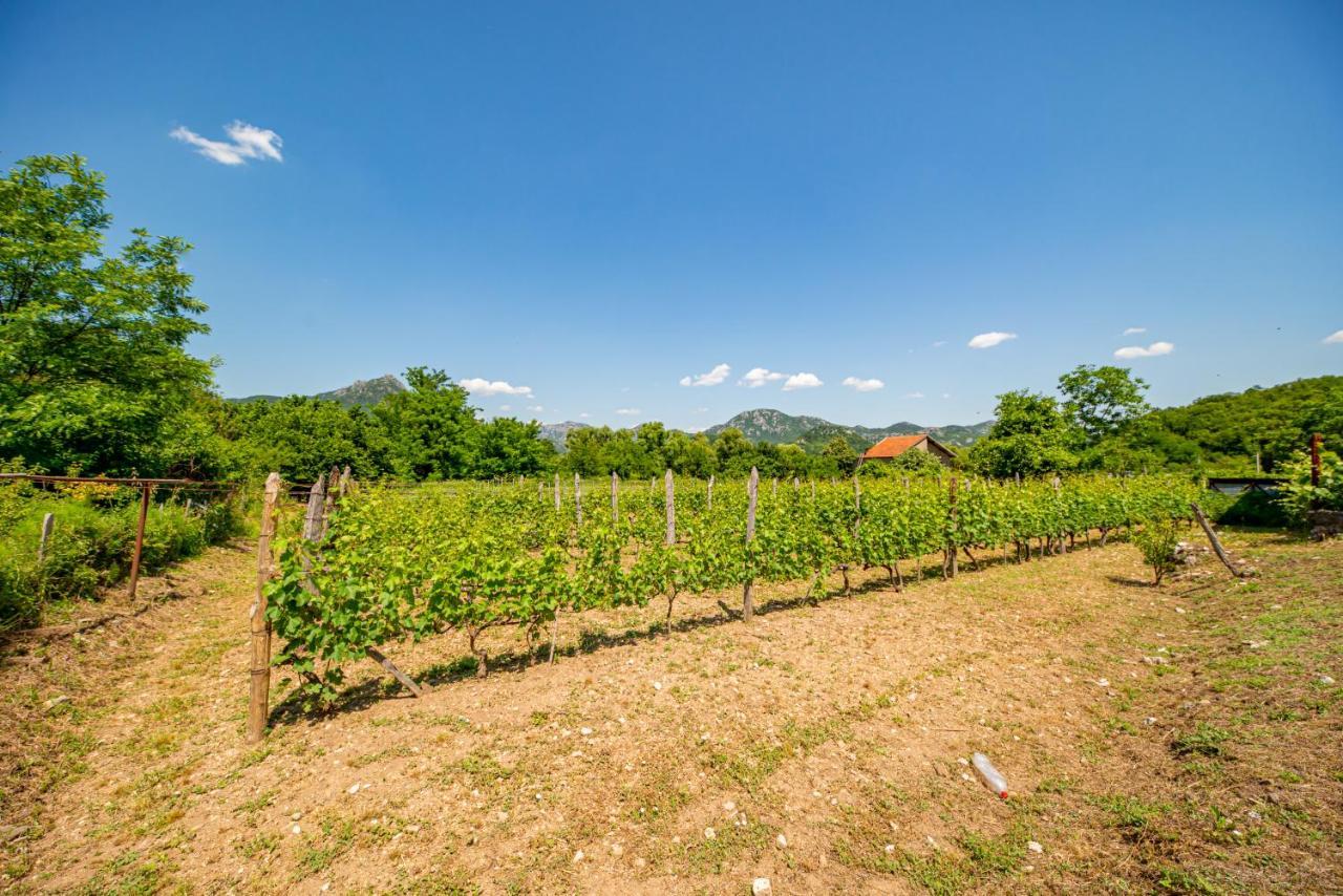 Bed and Breakfast Ethno House Osobak Virpazar Exterior foto