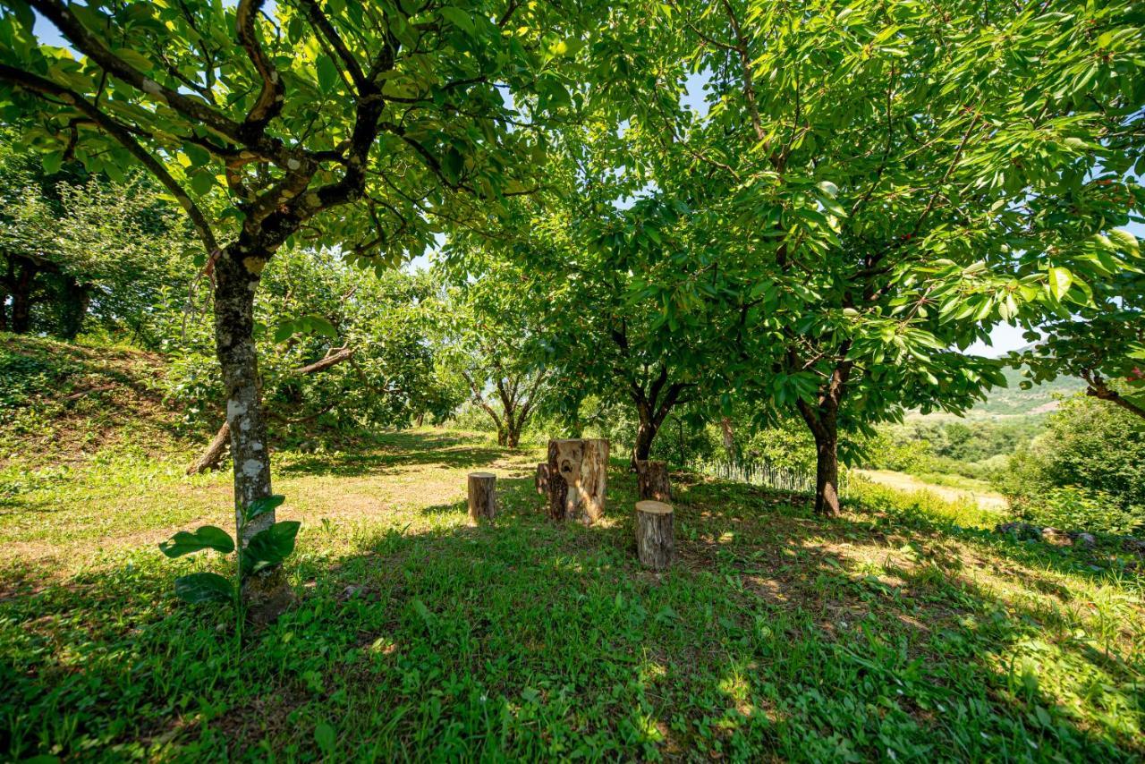 Bed and Breakfast Ethno House Osobak Virpazar Exterior foto