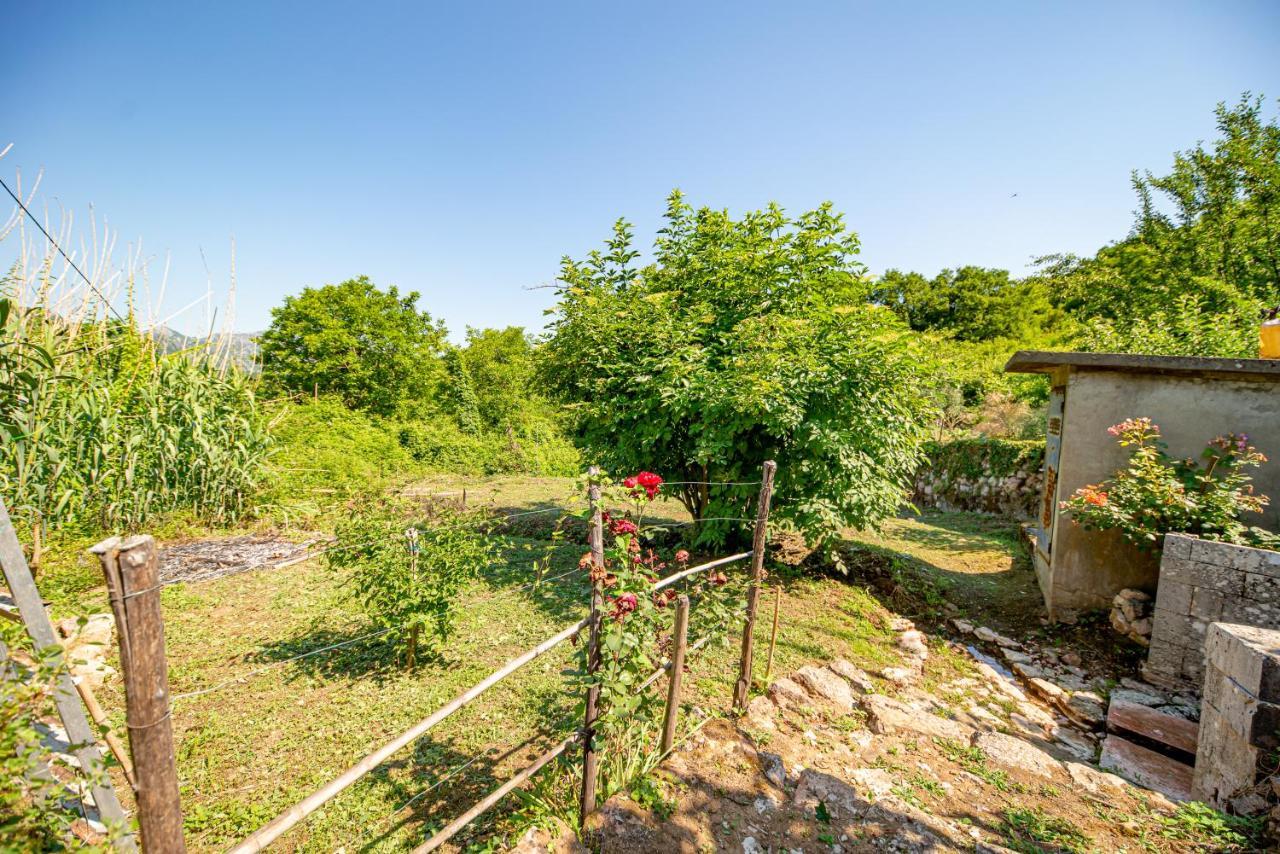 Bed and Breakfast Ethno House Osobak Virpazar Exterior foto