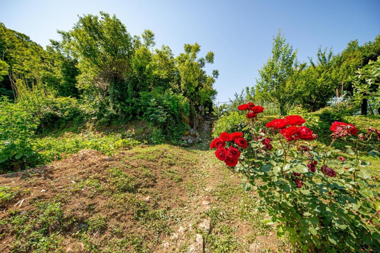 Bed and Breakfast Ethno House Osobak Virpazar Exterior foto