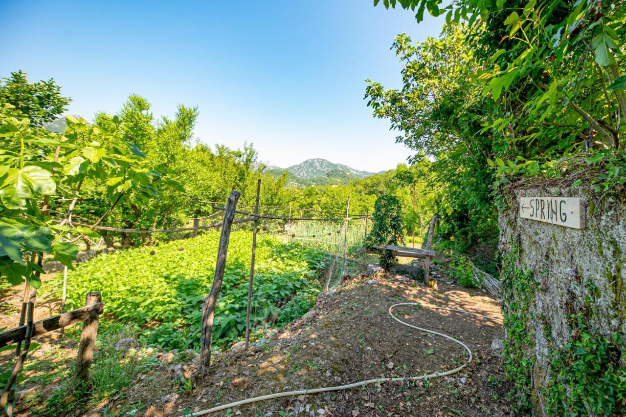 Bed and Breakfast Ethno House Osobak Virpazar Exterior foto