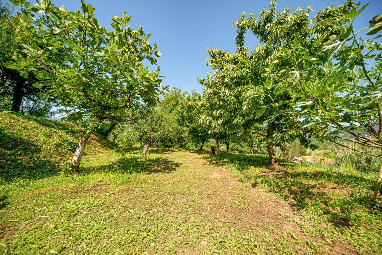 Bed and Breakfast Ethno House Osobak Virpazar Exterior foto