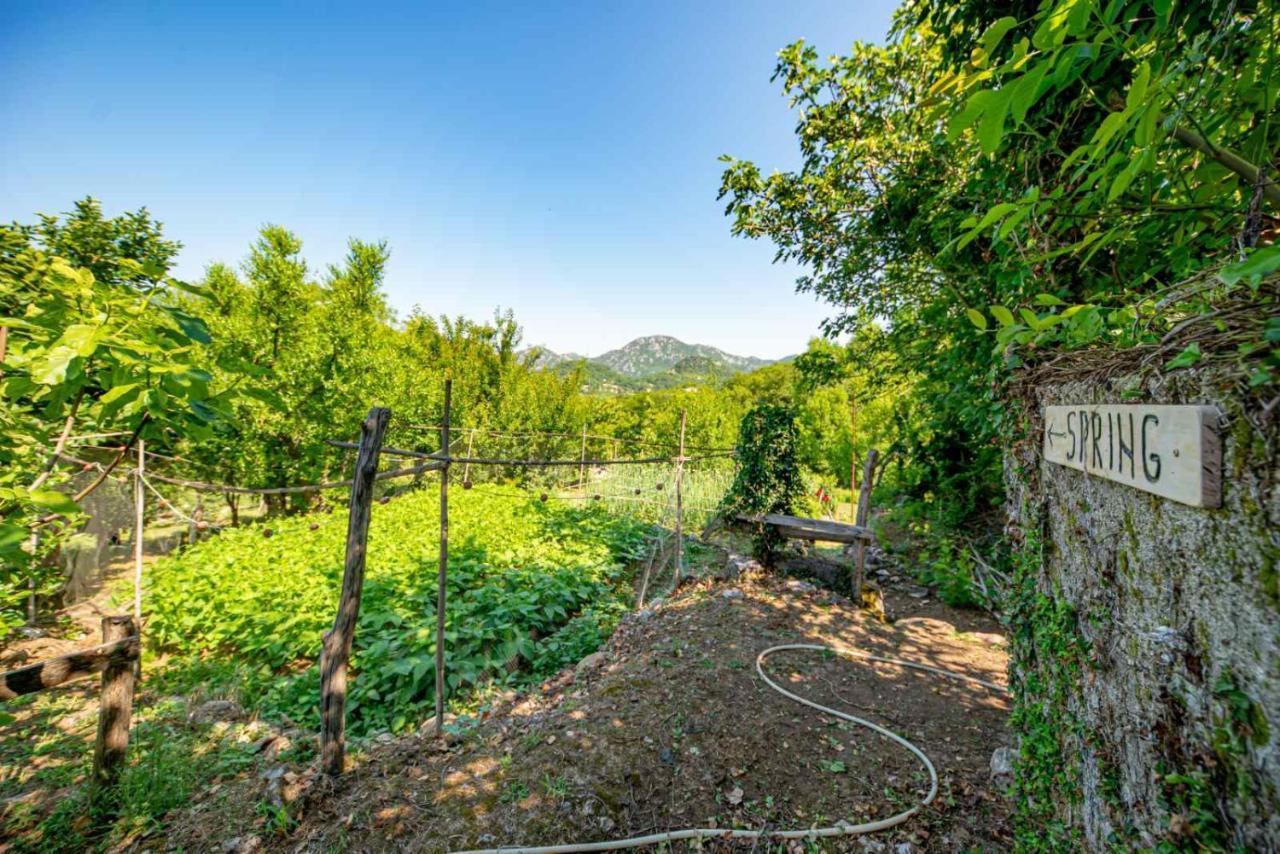 Bed and Breakfast Ethno House Osobak Virpazar Exterior foto